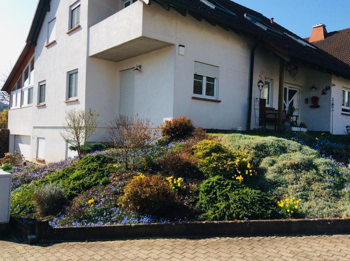 Apartamento Fernblick Zweibrücken Exterior foto